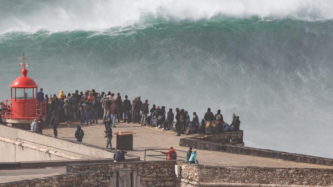 people staring at a wave